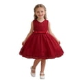 thumbnail image 1 of OGLCCG Flower Girl Tutu Dress Lace Embroidery Bowknot Birthday Pageant Dress Sleeveless Toddler Party Wedding Gown Dress Size 2-8, 1 of 7