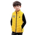 thumbnail image 1 of OGLCCG Kids Heated Vest for Boys Girls Full Zip Sleeveless Electric Heating Jacket Lightweight Stand Collar Warm Heating Gilet 4-15 Years, 1 of 6