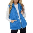 thumbnail image 1 of OGLCCG Puffer Vest Women Lightweight Quilted Stand Collar Sleeveless Jackets Winter Casual Button Zip Up Vest Coat With Pockets,XL,Blue, 1 of 6