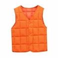 thumbnail image 1 of OGLCCG Toddler Baby V Neck Puffer Vest Quilted Fall Winter Lightweight Sleeveless Down Jackets Button Waistcoat Outwear for Kids Boys Girls 1-14Y, 1 of 5