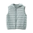thumbnail image 1 of OGLCCG Women's Lightweight Hooded Vest Full Zip Thin Warm Sleeveless Jacket Casual Fall Winter Soft Cropped Quilted Puffer Vest,XXXL,Light Blue, 1 of 7