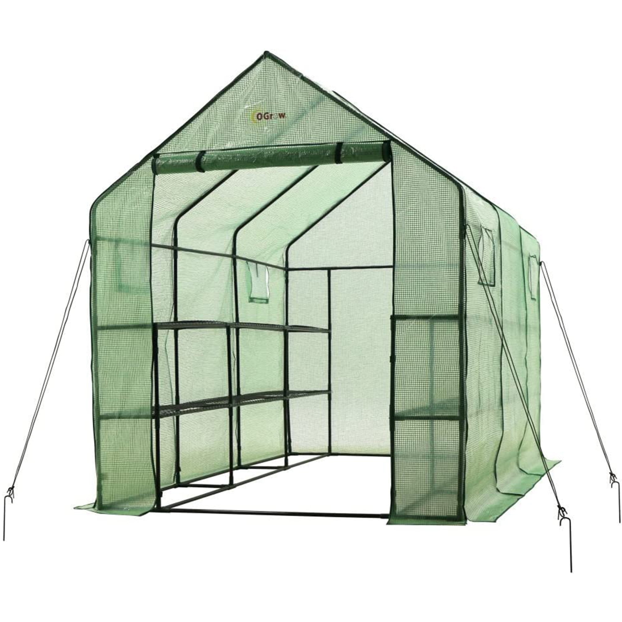 Large Green Walk-In Greenhouse with 2 Tiers and 12 Shelves