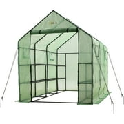 OGrow Mini Walk In Greenhouse for Outdoors Portable Green House 2 Tiers 12 Shelves 49lbs