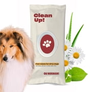 OH NORMAN! Clean Up Paw Wipes for Dogs 8x7 by Kaley Cuoco, Gentle Pet Grooming Wipes, Plant-Based and Unscented, 100 Count