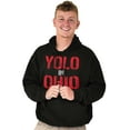thumbnail image 1 of OH Pride YOLO in Ohio Souvenir Unisex Plus Fleece Graphic Hoodie Brisco Brands 2X, 1 of 5