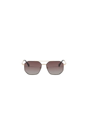 2131D Polarized Aviator Sunglasses