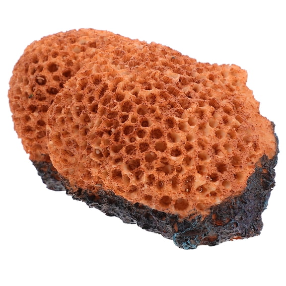 OHOIOLLA Artificial Aquarium Coral Reef Ornament for Desktop Fish Tanks, Resin