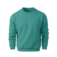 thumbnail image 1 of OIOLOYJM Sweatshirts for Men Long Sleeve Casual Crew Neck Relaxed Fit Workout Pullover Retro Classic Cozy Clothes Turquoise S, 1 of 4