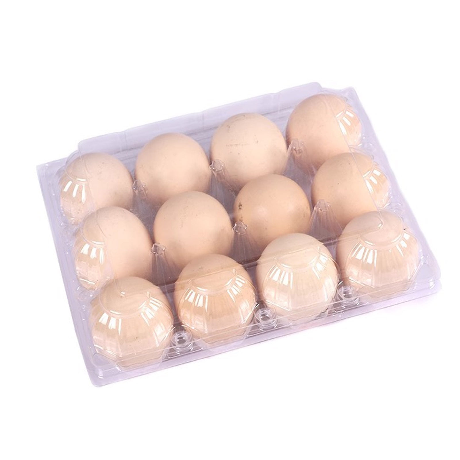 OIUR 50Pcs Egg Holder Clear Plastic Cartons 12 CountReusable Crate for Home Ranch Farm Market Display Transparent Reusable Egg Container