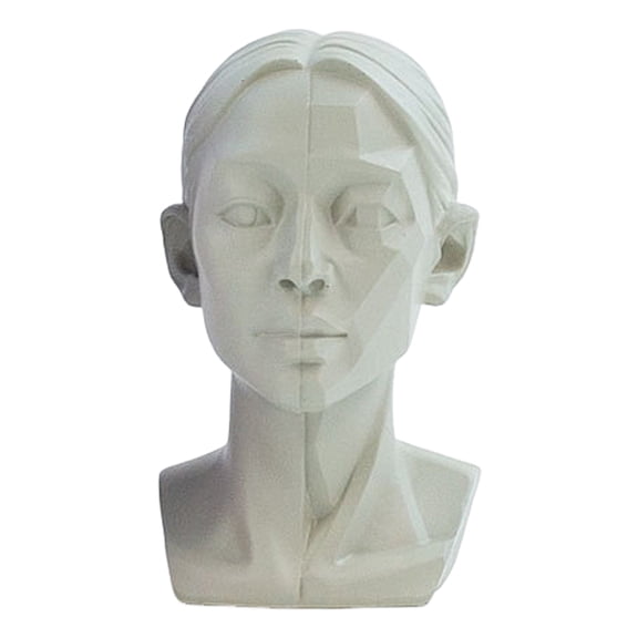OIUR Generic Planar Head Model for Drawing Resin Skull Sculpture with Detailed Muscle Structure Art Study Tool for Sketching Anatomy Learning