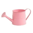thumbnail image 1 of OIUR Metal Watering Can for Indoor Plants Wide Opening Watering Can Rustic Flower Arrangement Vase with Handle for Balcony Office Living Room, 1 of 7