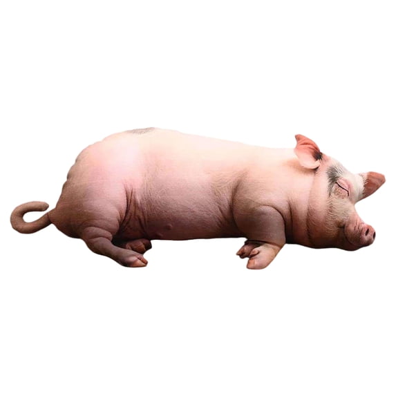 OJSFQUFP Cute Sleeping Mini Pig Plush Pillow Realistic Lazy Pig Stuffed Throw Soft Decorative Pillow for Sofa Bed Home Decor40 60 80 CM