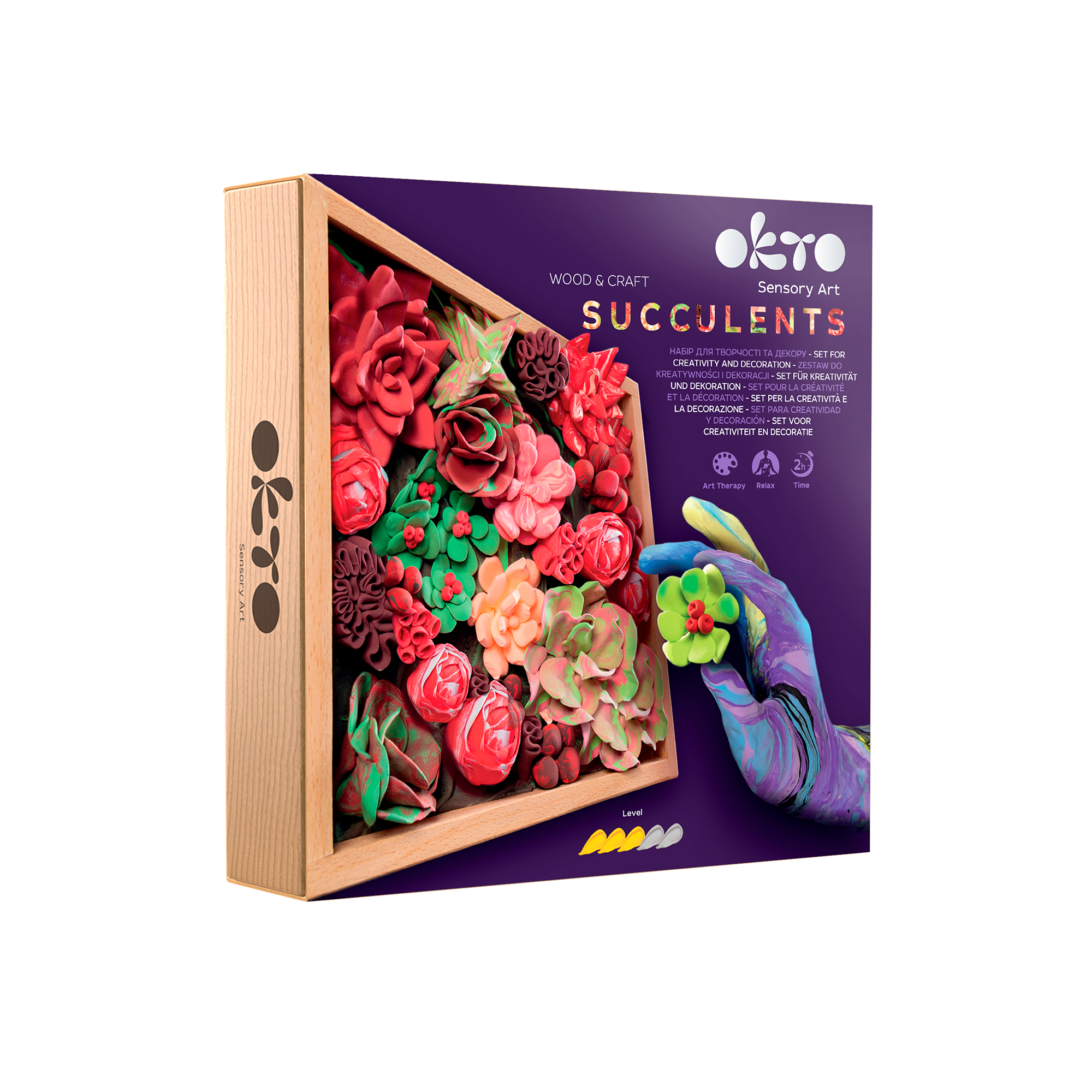 OKTO DIY 3D Succulent Art Kit - Passion | Air-Dry Clay Craft Set