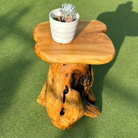 OLDTREE 18.9" Tall Tree Stump Stool for Porch, Natural Wooden Side Table for Living Room, Live Edge End Table for Bedroom,Living Room, Outdoor