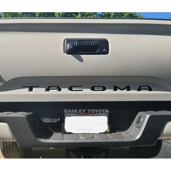 OLIVE- Gloss Black Tailgate Insert Letters Decal Vinyl Stickers For Tacoma 2016-2023