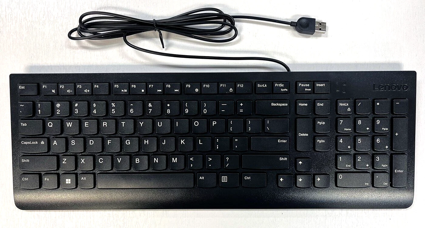 OLIVE- Lenovo 300 Usb Keyboard, Us English - New - Walmart.com