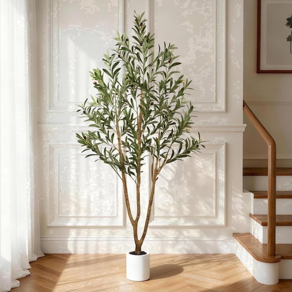 OLIVIVI Olive Trees Artificial Indoor, 6FT Tall Faux Olive Tree with White Tall Planter, Artificial Plants with Natural Wood Trunk and Lifelike Fruits for Home Office Decor