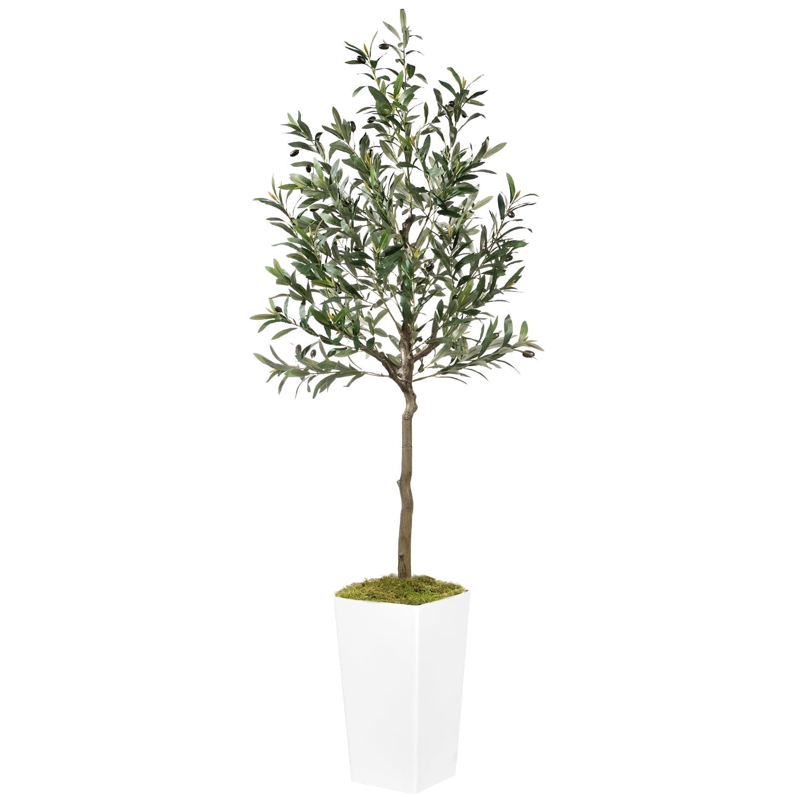 OLIVIVI Artificial Olive Tree 6FT Tall Faux Silk Plant for Home Office ...