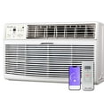 OLMO 14000 btu 230V ThroughtheWall Air Conditioner with Remote