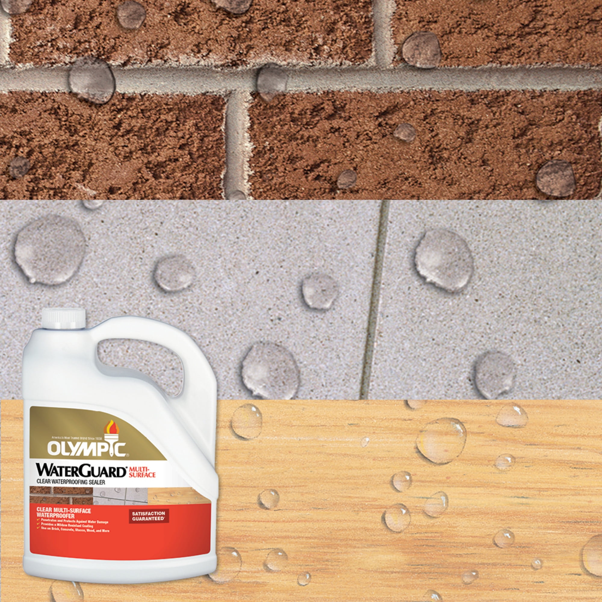Olympic WaterGuard 1 Gallon Clear Multi-Surface Exterior Waterproofing Sealer