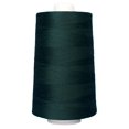 thumbnail image 1 of OMNI By Superior - Thread Colors 3001-3099, 1 of 1