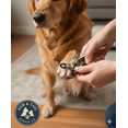 thumbnail image 1 of Stainless Steel Dog Nail Trimmer Non-Dulling Blade Grooming Claw Care Supplies, 1 of 6