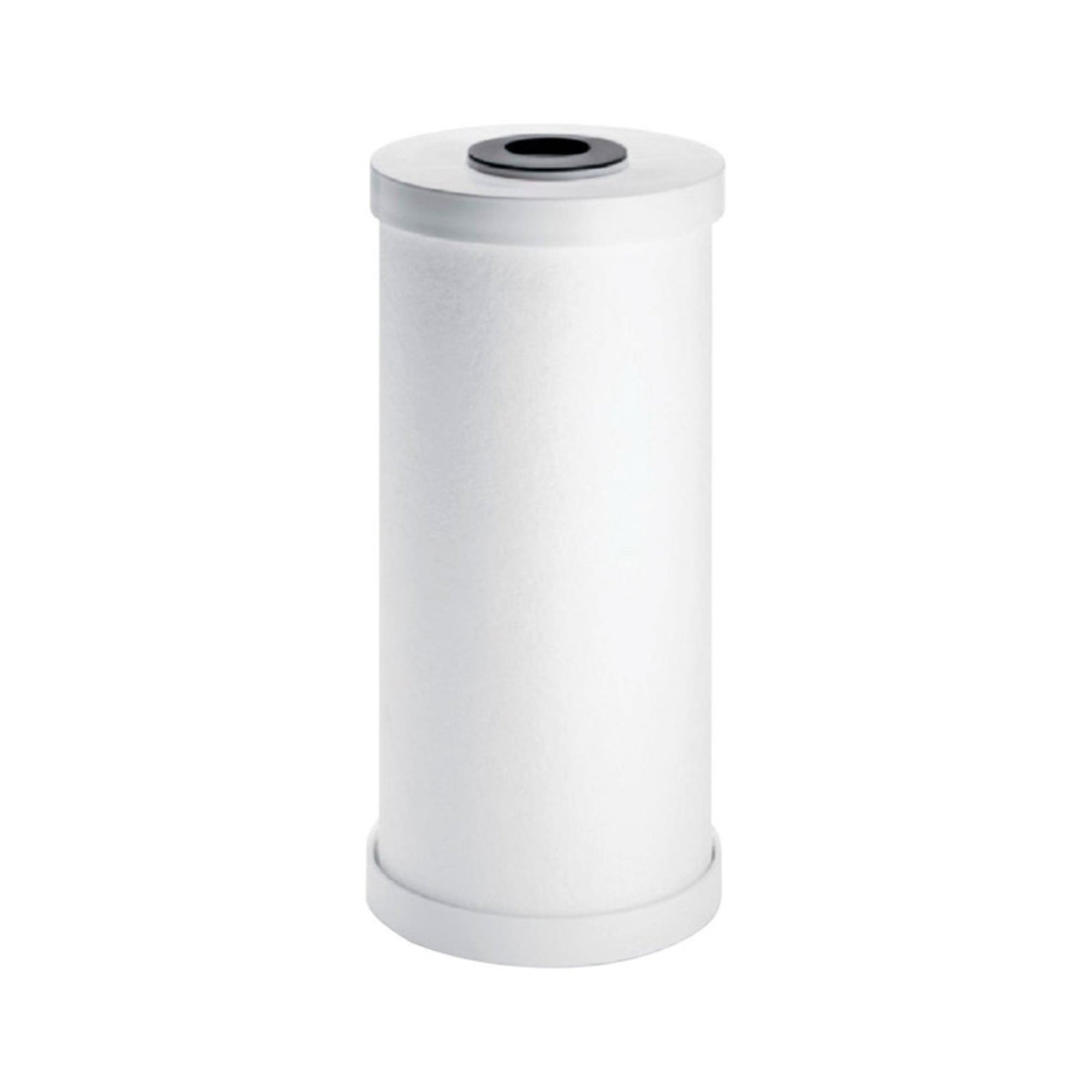 Pentair OMNIFilter 10" x 4.5" Granular Carbon Water Filter