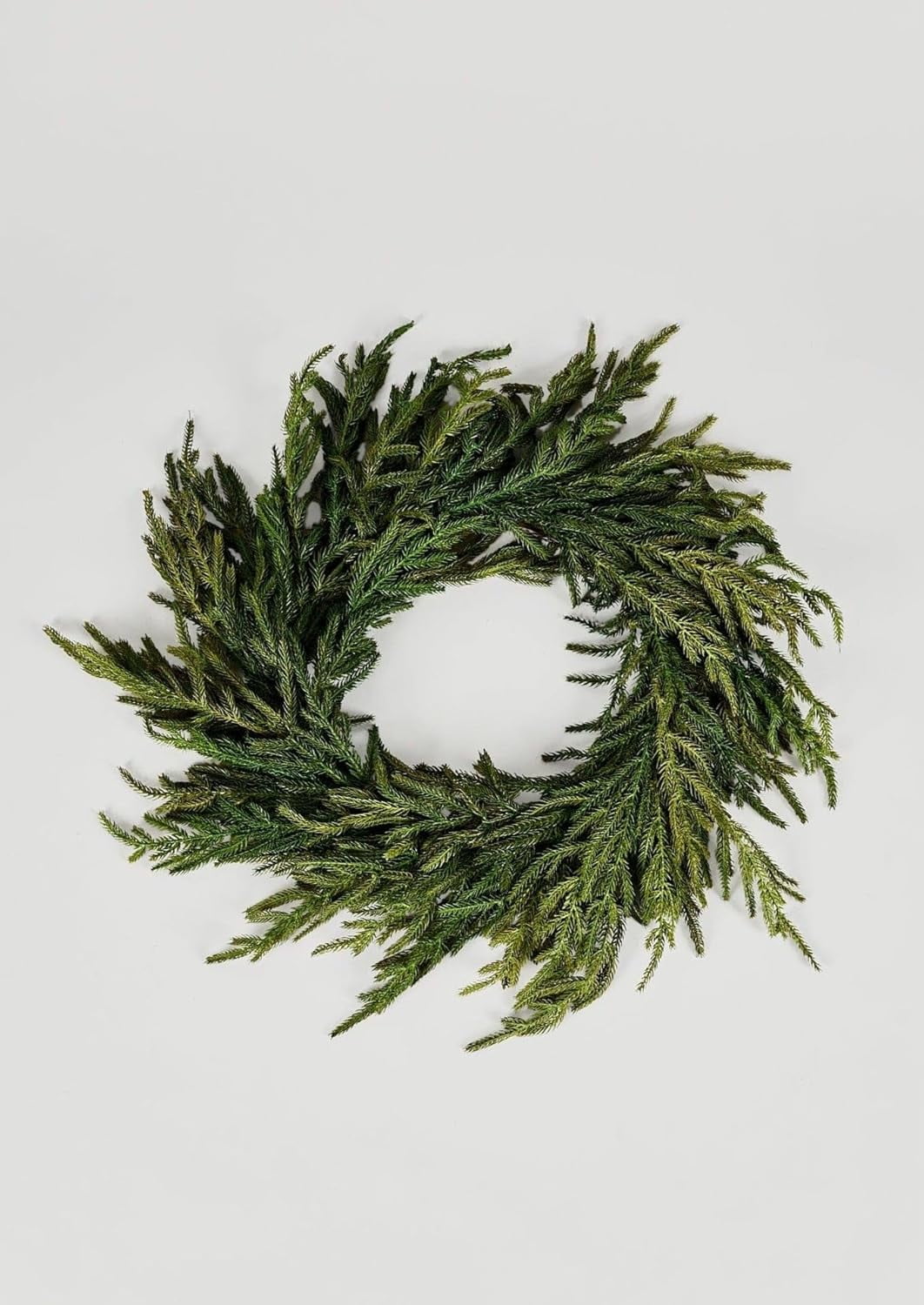 24" Green Artificial Norfolk Pine Christmas Wreath with Grapevine Base