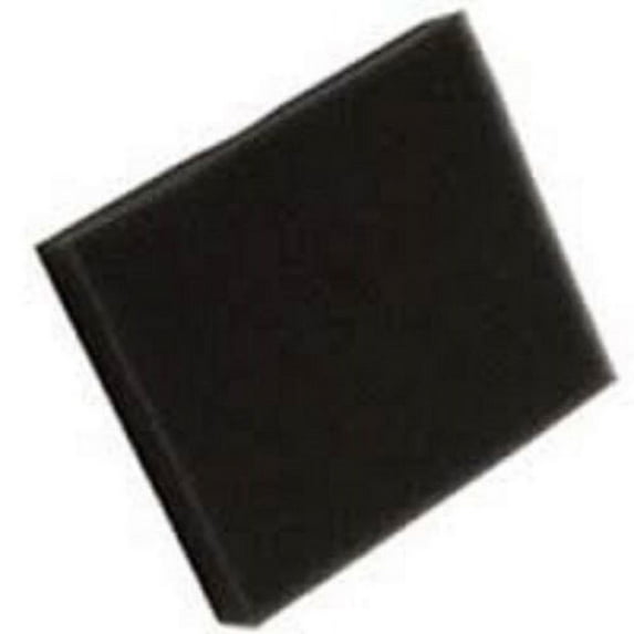 ONE Bissell Secondary Filter, 5770 Healthy Home, Part 2031374, Qty-1