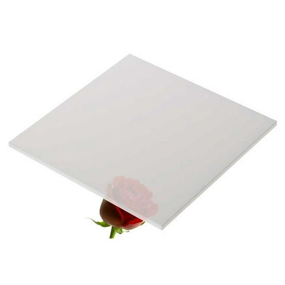 ONE- FROSTED ACRYLIC PLASTIC SHEET 1/4"  12" X 24"