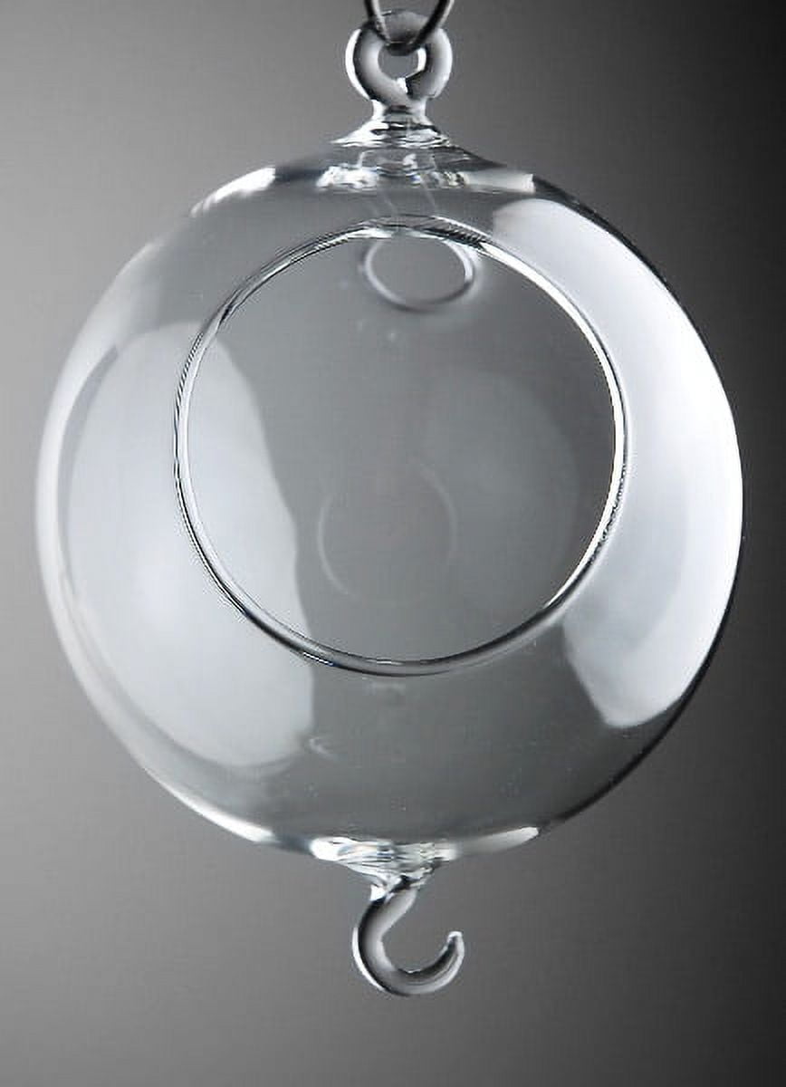 ONE Piece of Hanging Glass Terrariums With Two Hooks 5in.