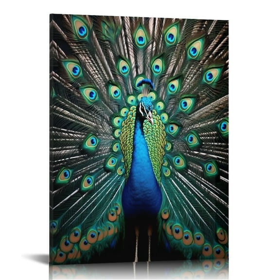 ONETECH Bedroom Decor Wall Art Peacock Picture Canvas Print Artwork Canvas Print for Wall Decor for Bathroom Aesthetic Ready to Hang for Kitchen Office 12x16 in