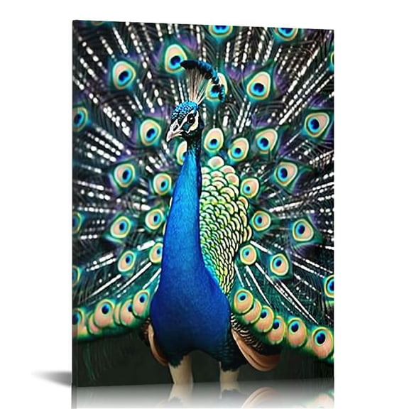 ONETECH Bedroom Decor Wall Art Peacock Picture Canvas Print Artwork Canvas Print for Wall Decor for Bathroom Aesthetic Ready to Hang for Kitchen Office
