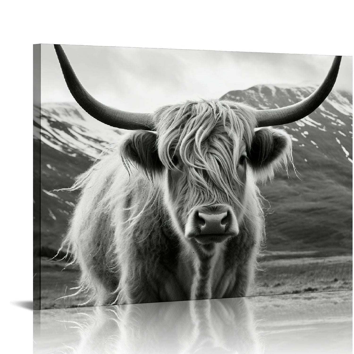 ONETECH Black and White Animal Canvas Wall Art Freedom Highland Cow Painting Artwork Farmhouse Picture Wildlife Art Print 20\x16\