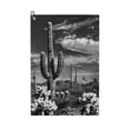 thumbnail image 1 of ONETECH Cactus Sky Clouds Golf Towel 24x16in 2PC, 1 of 7