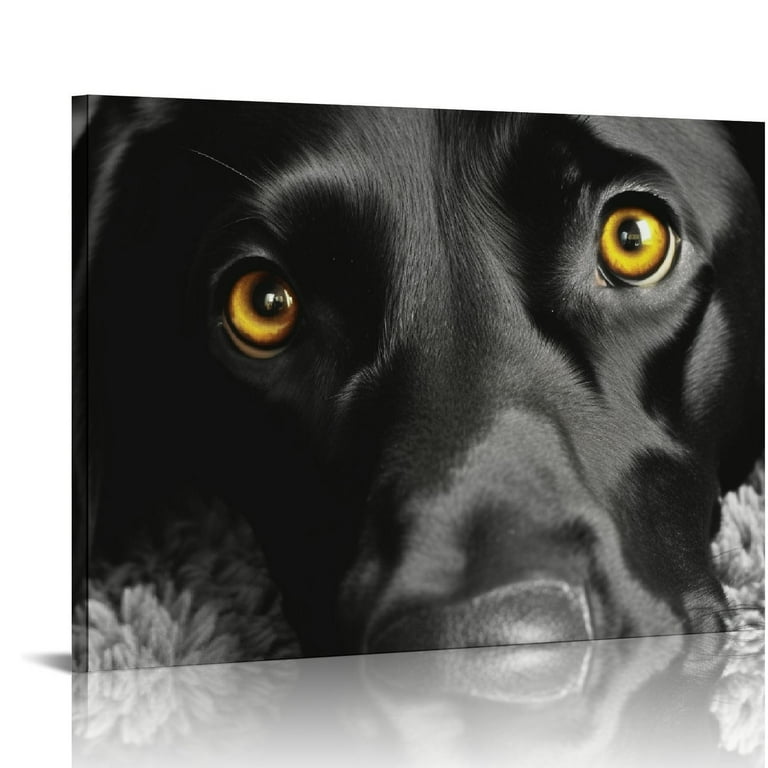 Labrador wall art sale