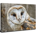 thumbnail image 1 of ONETECH Canvas Wall Art - Common Barn Owl - Modern Home Art Ready to Hang 20x16inch, 1 of 6