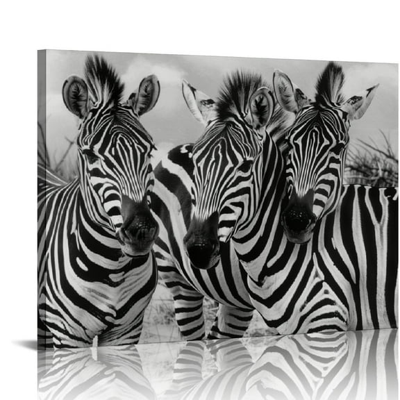 ONETECH Canvas Wall Art Zebra Pictures Poster Print Animal Prints Wall Decor With Framed20 x16