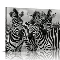 ONETECH Canvas Wall Art Zebra Pictures Poster Print Animal Prints Wall Decor With Framed20 x16