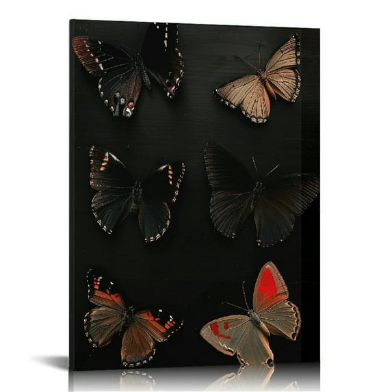 ONETECH Dark Butterfly Wall Art Moody Wall Decor Black Butterfly Poster Vintage Butterfly Canvas Wall Art Vintage Nature Posters Dark Academia Paintings Colorful Butterfly Pictures for Room 16x20inch