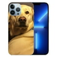 thumbnail image 1 of ONETECH Funny Clear Case for iPhone 15 Pro, Cute Cartoon Dog Designer Phone Case Accessories for Women Girly, Slim Soft Silicone Cover Protective &amp; Non-Yellowing Cases for iPhone 15/15pro, 1 of 4