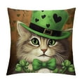 thumbnail image 1 of ONETECH  Happy St Patricks Day Lucky Cat Clover Throw Pillow Cover,  Shamrock Cushion Case Decoration for Sofa Couch, 1 of 5