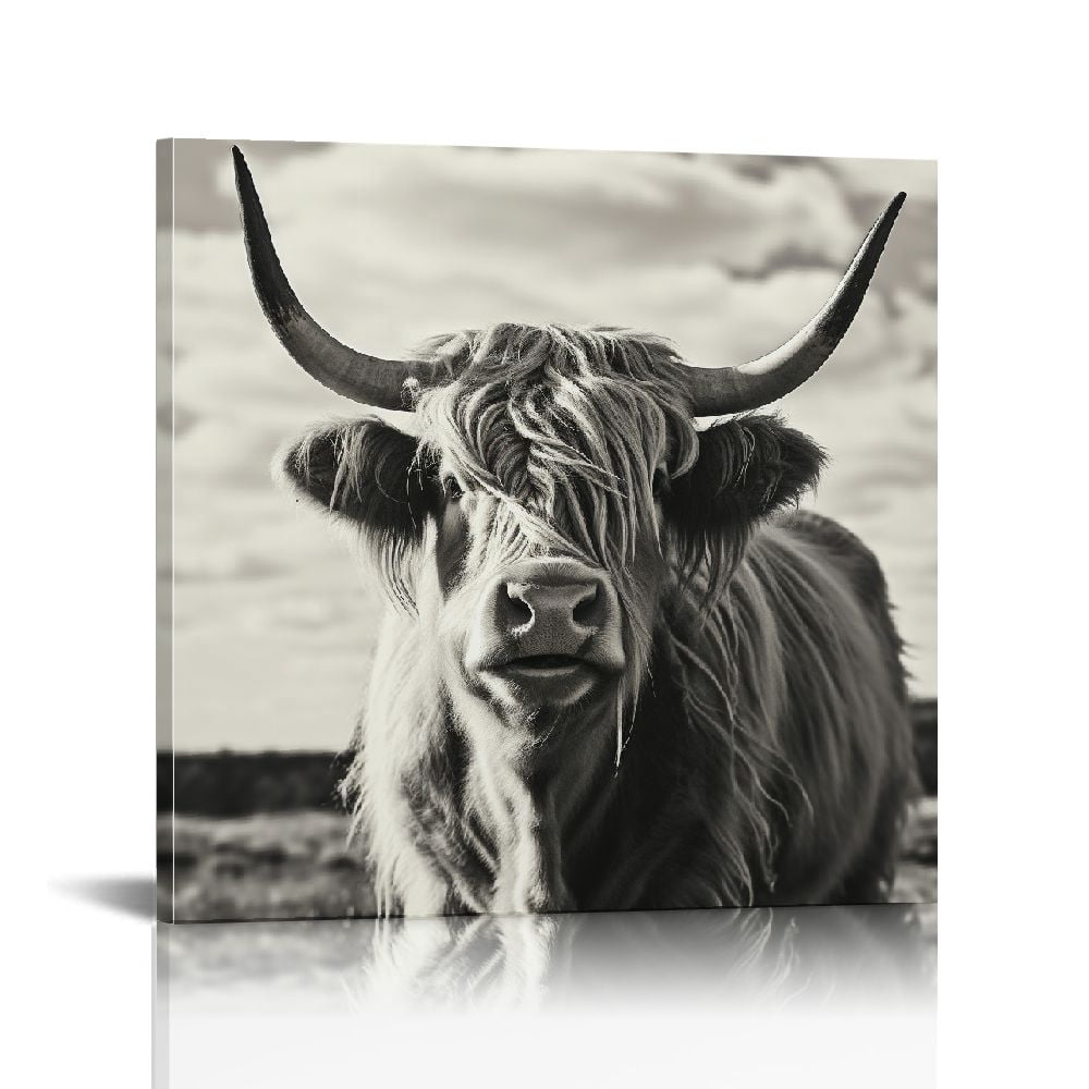 Highland Cow Black and White Canvas Wall Art 16x20