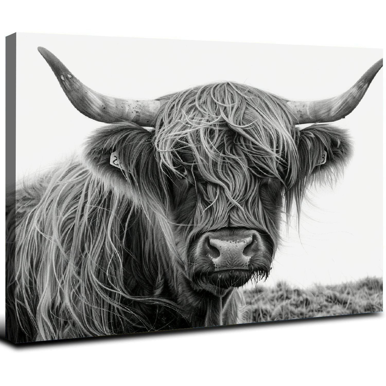 Framed Black and White Highland Cow Canvas Art Print, 16" x 12"