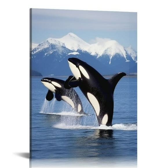 Orca Whale Gifts