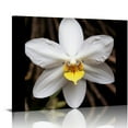 thumbnail image 1 of ONETECH Orchid Wall Art For Living room City Poster Canvas Prints Printing Home Office Decorations With Framed 16\x12\, 1 of 4
