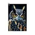 thumbnail image 1 of ONETECH Owl Golf Towel Birthday Gift 24x16in Owl 2PC, 1 of 7