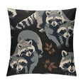 thumbnail image 1 of FUMJ Raccoon Pillow Covers  Decorative Throw Pillow Cover Soft Pillow Case Modern Raccoon Home Decor for Couch Sofa Bed, 1 of 5