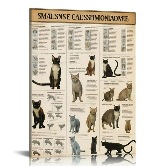 ONETECH  Siamese Cat Knowledge Signs Poster, Vintage Wall Decor Farmhouse Decorations 16x12 Inches