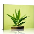 thumbnail image 1 of ONETECH Succulent Simplicity Canvas Wall Art, 1 of 4